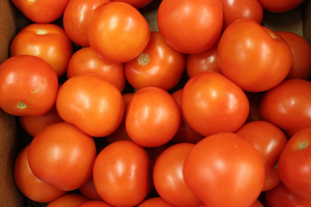 La Tomatina tiñe Buñol de rojo con 120 toneladas de proyectiles vegetales