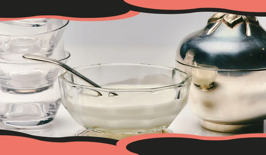 alimentos probióticos